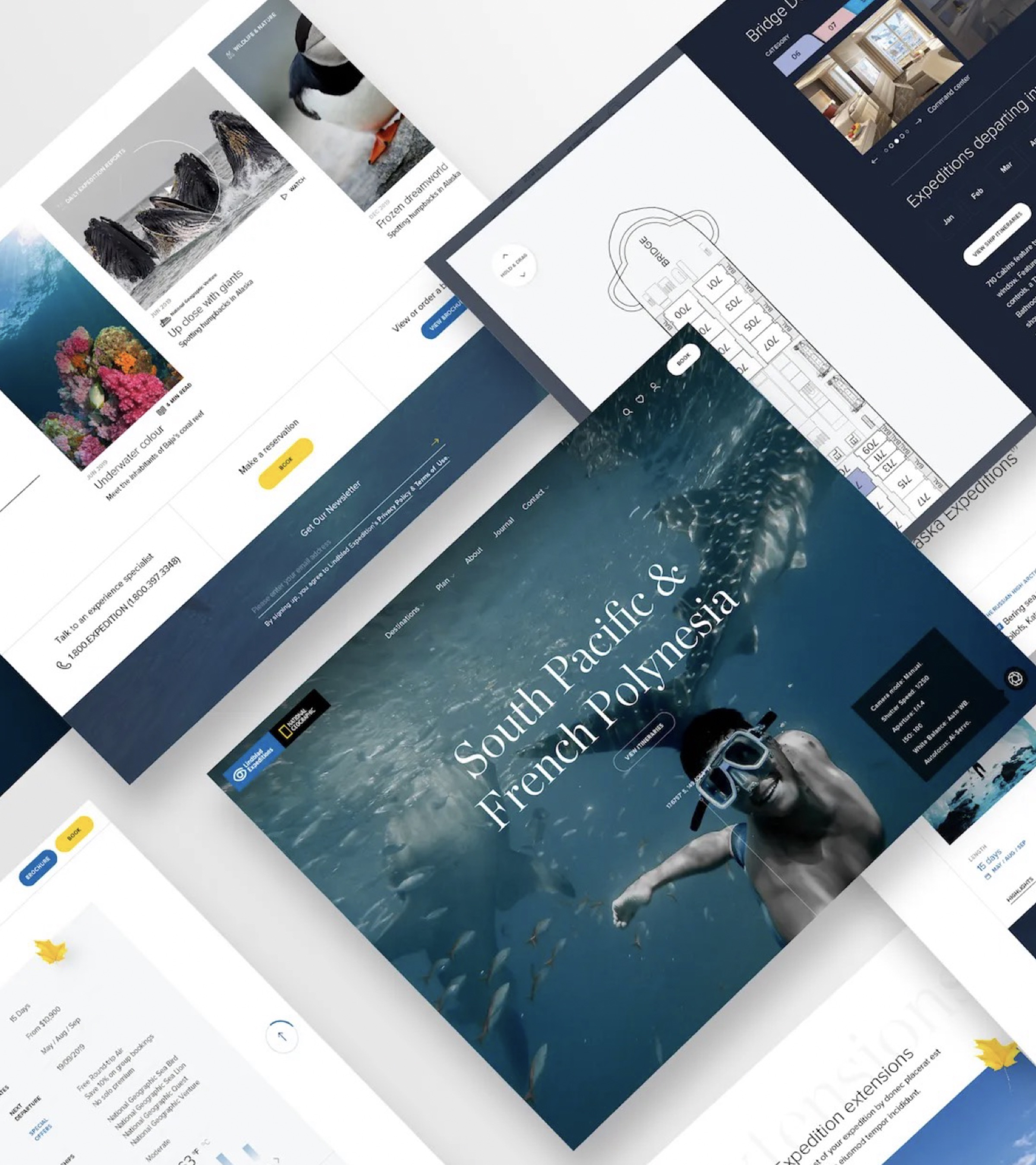 Shipped surfaces: expedition reports, cabin deck plans, destination heroes and extensions